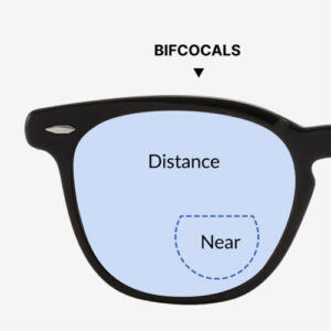 Bi-Focal Vision